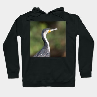 Cormorant Hoodie